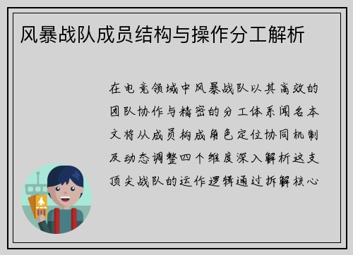 风暴战队成员结构与操作分工解析