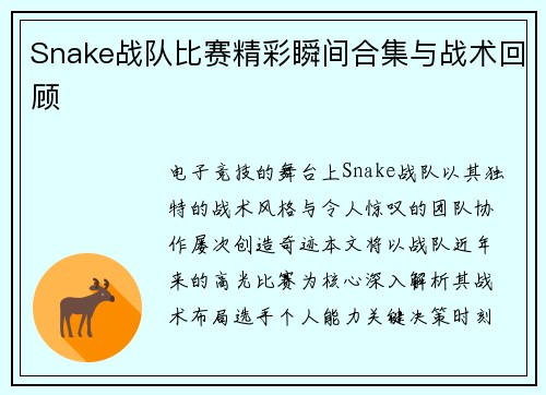 Snake战队比赛精彩瞬间合集与战术回顾